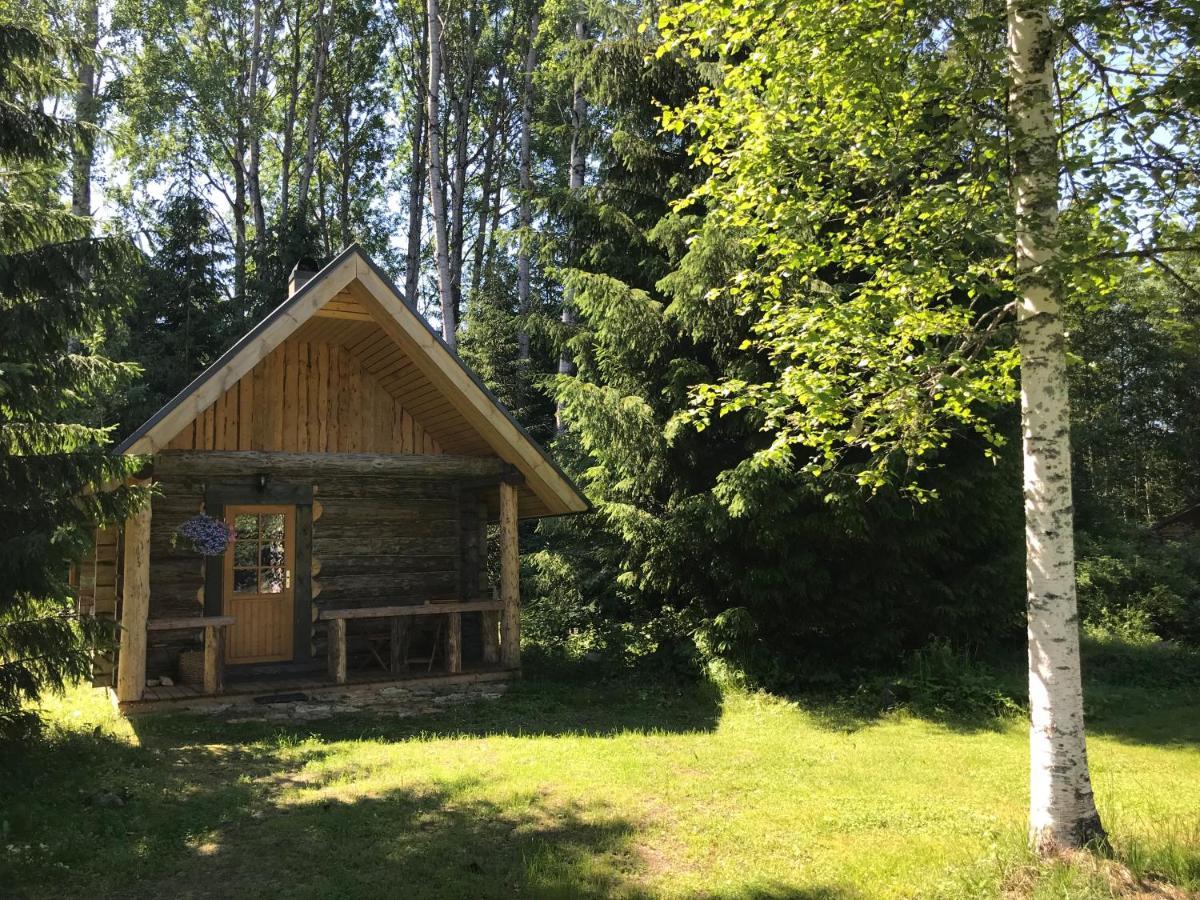 Haaviku Nature Cottage Tepelvalja Extérieur photo