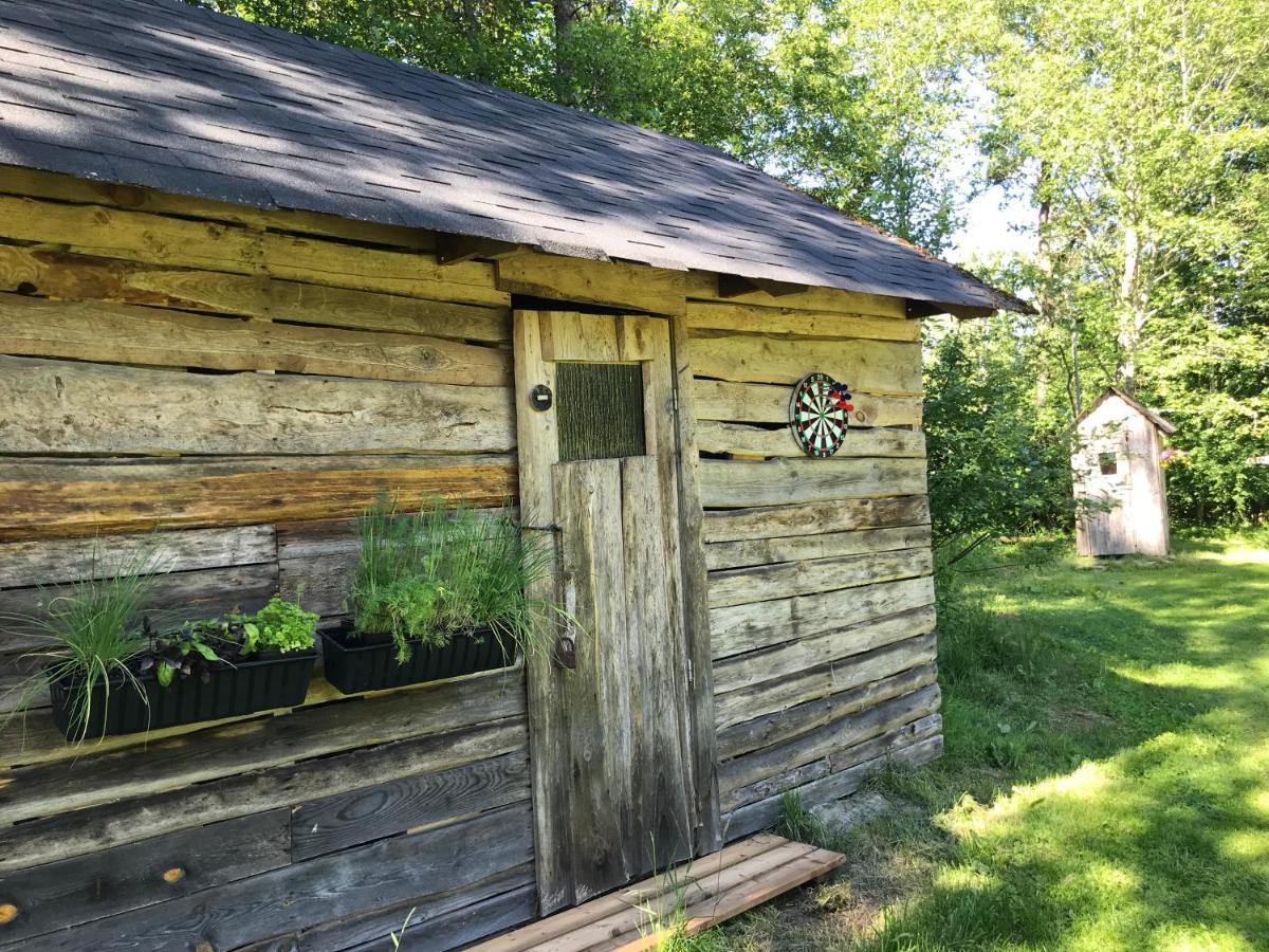 Haaviku Nature Cottage Tepelvalja Extérieur photo