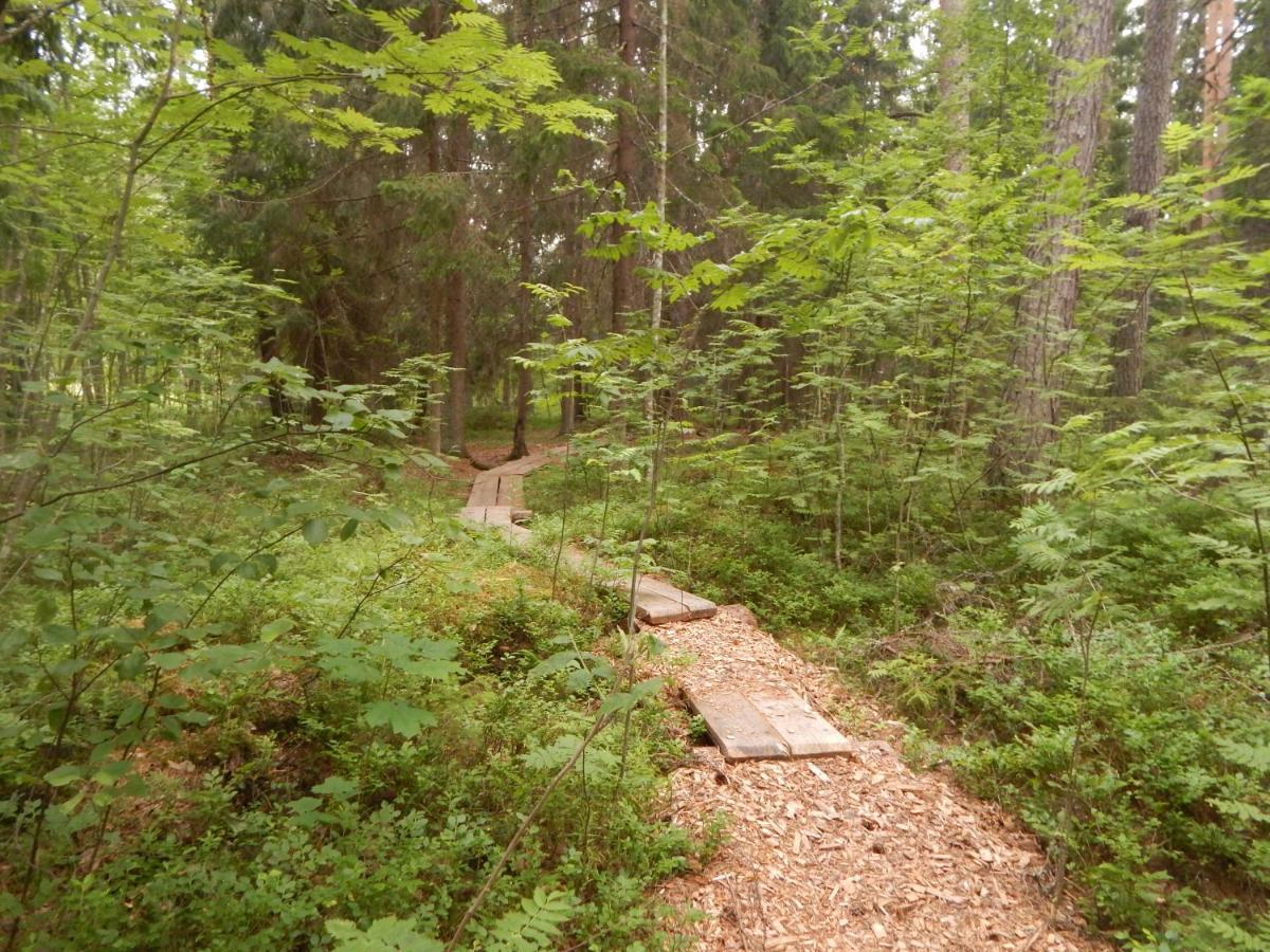 Haaviku Nature Cottage Tepelvalja Extérieur photo